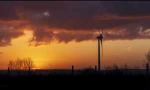 BUSINESS_IN_WIND_HONDTOCHT